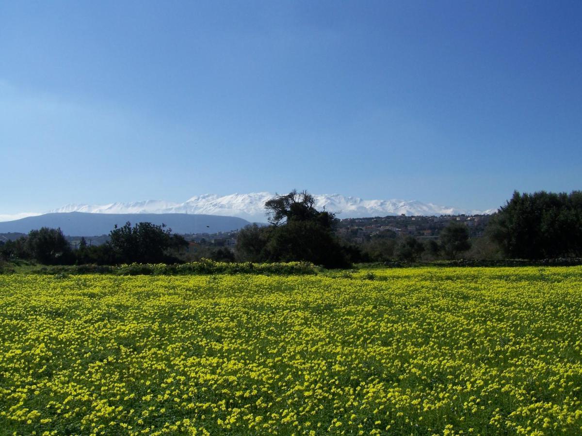 Manolo S Olive Farm, Apartment With Seaview Hanya Dış mekan fotoğraf
