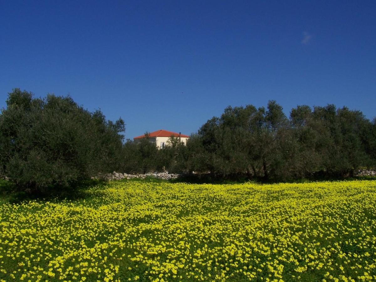 Manolo S Olive Farm, Apartment With Seaview Hanya Dış mekan fotoğraf
