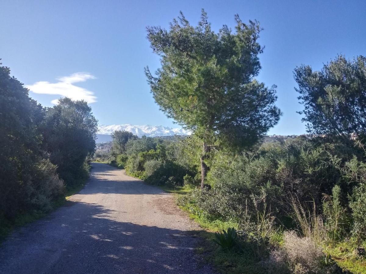 Manolo S Olive Farm, Apartment With Seaview Hanya Dış mekan fotoğraf