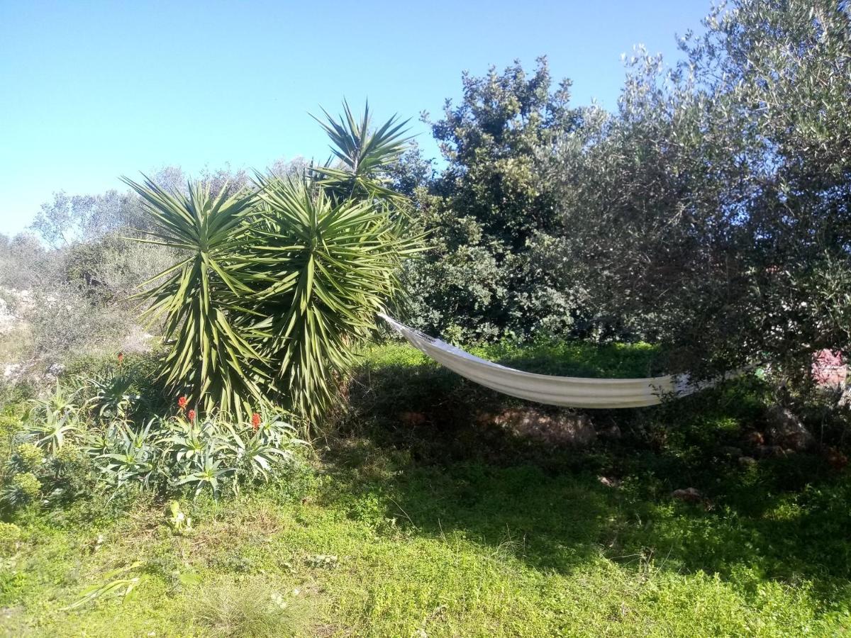 Manolo S Olive Farm, Apartment With Seaview Hanya Dış mekan fotoğraf