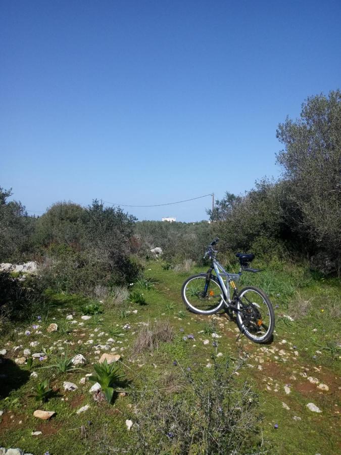 Manolo S Olive Farm, Apartment With Seaview Hanya Dış mekan fotoğraf